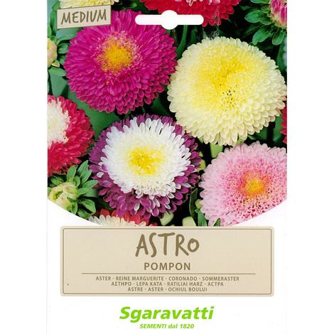 SEMI PER PRATO UNIVERSALE astro pompon Q.TA 20 astro pompon