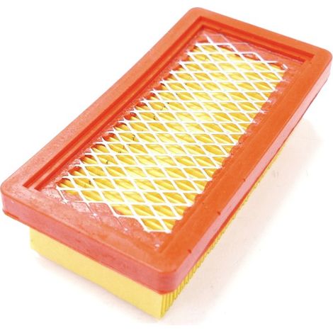 Filtre à air Tecumseh Geotec et Geotec OHV - 23410061 (1/3)