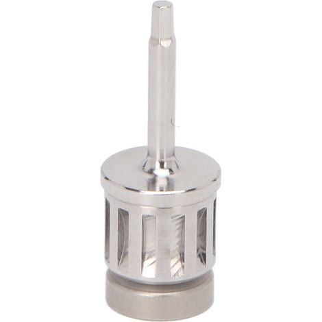 Tournevis pour Implants Dentaires en Acier Inoxydable - Outil Professionnel pour Cliniques Dentaires 20mm (1/5)