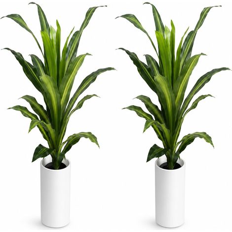Ficus lyratus artificiel – Ficus lyratus ultra-réaliste avec tronc en bois et cache-pot blanc vieilli, 98 cm, 22 feuilles, avec un poids en pierre (1/5)