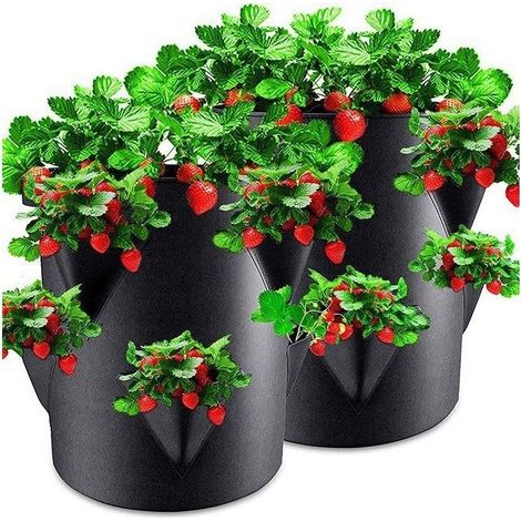 Ecleanfy - 2 Sacs de Plantation de Fraises en Feutre -45 x 35 cm - Sac pour Jardins, balcons, Plantes, Sacs pour Fraises, ail, oignons, Herbes (1/5)