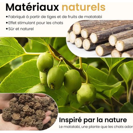 Bâtons de Matatabi pour Chats - Jouet Naturel à Mâcher pour Hygiène Dentaire et Détente - 6 Pièces (1/5)