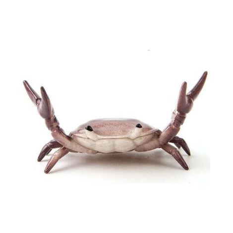 BUNTHAUS Creative mignon crabe porte-stylo haltérophilie crabe porte-stylo support support de rangement cadeau papeterie(Violet) (1/5)