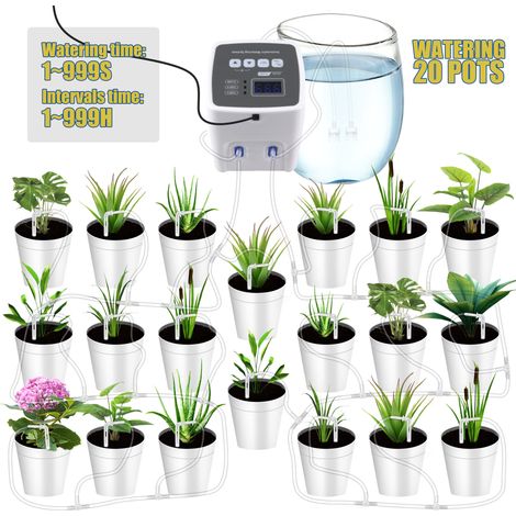 Arrosage automatique 110-240V double pompe CE/ROSH sans batterie jardin balcon (1/5)
