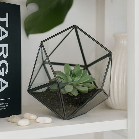 Terrario geometrico in vetro per cactus e piante grasse