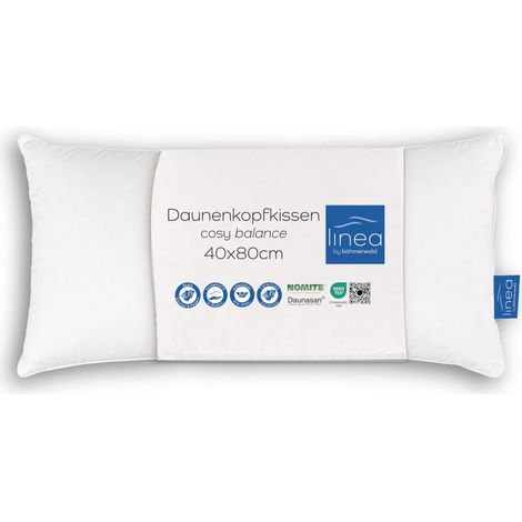 Cosy - Oreiller Équilibré, 40 x 80 cm, 70% Plumes de Classe 1, 30% Duvet Douillet Neuf, Convient aux Personnes Allergiques, Lavable à 60 °C, Fabriqué en Allemagne (1/5)
