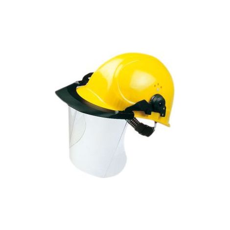 Visierse PELTOR V4F300P3EV, avec.Porte casque