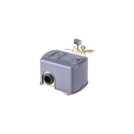 Druckschalter, 40-60 PSI Wasserpumpen-Druckregler, verstellbarer Doppelfederbolzen, 110-230 V selbstansaugende Einspritz-Gartenwasserpumpe