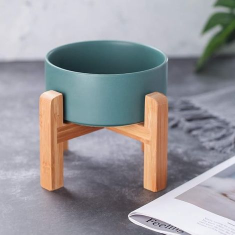 Green Ceramic Elevated Raised Cat Bowl with Wood Stand No Spill Pet Food Water Feeder Cats Small Dogs (1/4)