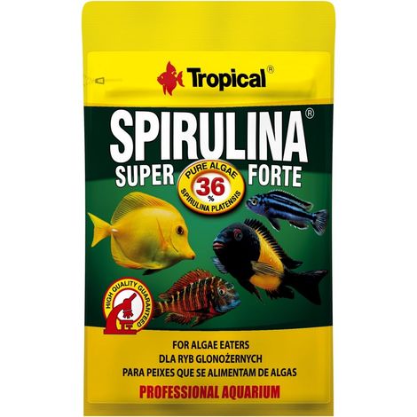Spirulina tropicale super forte 36% 12G
