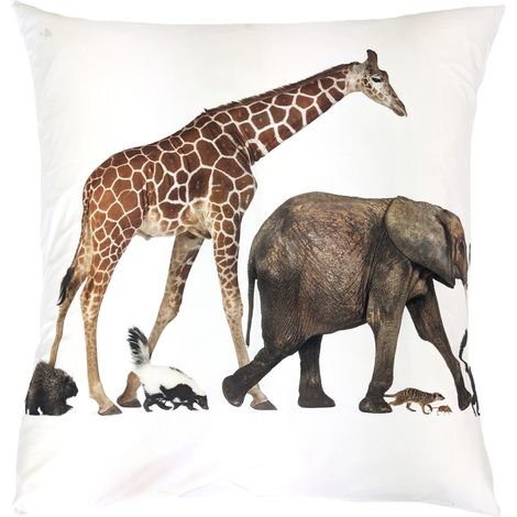 Taie d'oreiller percale de coton NOÉ 65x65 cm (1/5)