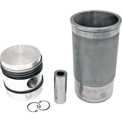 Kit di riparazione pistone motore CASE IH 3044479R94 (1/2)