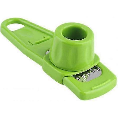 Râpe à ail multifonctionnelle Mini, outil de cuisine (1/5)