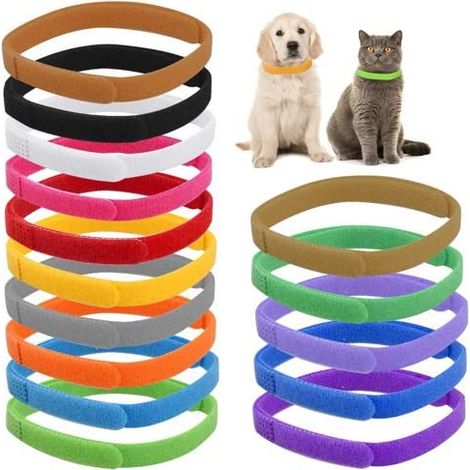 Lot de 15 Collier Chiot Colliers d'identification Réglables, Collier Couleurs Assorties pour Chaton,Collier Auto-Adhésif 10 x350 mm (1/5)