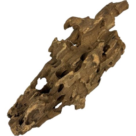 Bois flotté Dragon 21-40 cm (1/5)