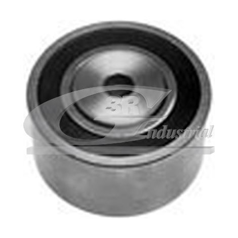 3RG 13808 RODILLO TENSOR