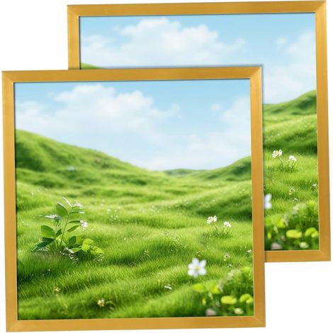 Lot de 2 Cadres Photo en Pvc Doré, Cadre Rectangulaire Support Stable, Protection Optimale pour Photos et Œuvres D'art, Décoration Élégante pour Mariage et Intérieur (1/5)