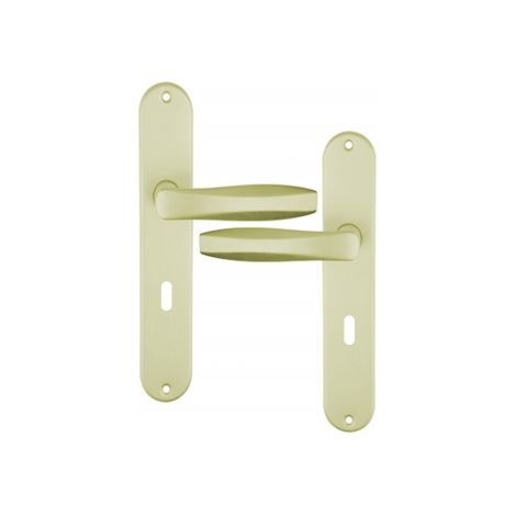Ouvre&Déco – Poignée de porte intérieure design en Aluminium anodisé F2 sur plaque Clé L entraxe 195 mm, TRIO
