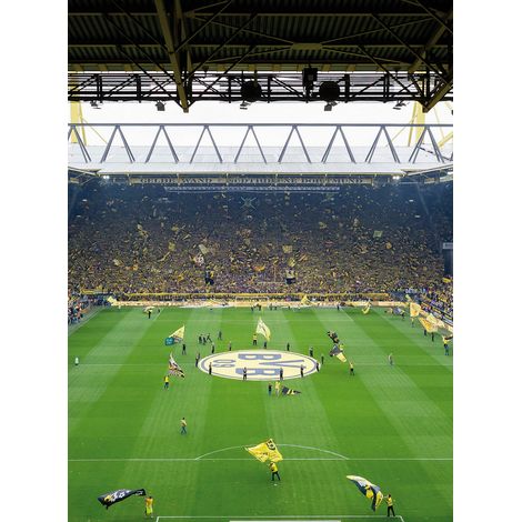 Papier peint panoramique foot chambre ado | Tapisserie panoramique stade de foot chambre garçon | Papier peint panoramique sport chambre enfant - 192 X 260 cm (4 pièces) (1/2)