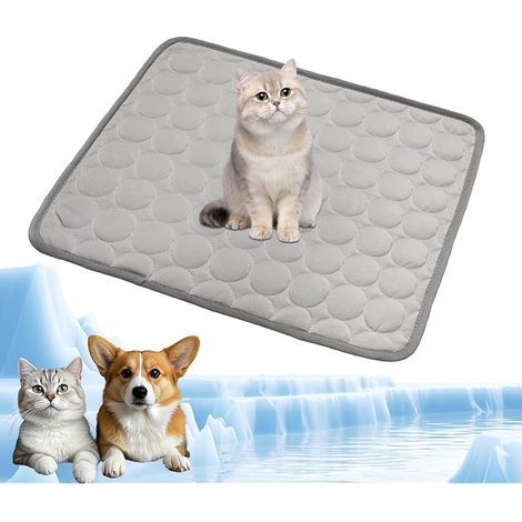 Tapis rafraîchissant pour chien et chat en été chaud, tapis frais et durable pour animaux de compagnie - Accessoire de matelas pour chats et chiots - Pour maison et voyage - 62 x 50 cm - M (1/5)