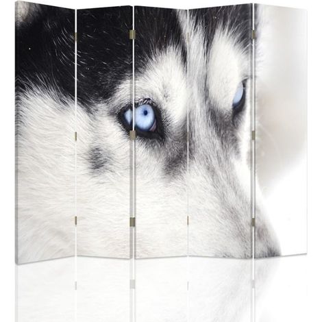 Paravento bilaterale, Husky siberiano - 180x170 (1/5)