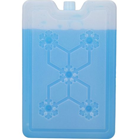 Glacière portable extérieure 600ML pour pique-nique camping voyage, boîte réfrigérante fruits avec bloc de glace réutilisable (1/5)
