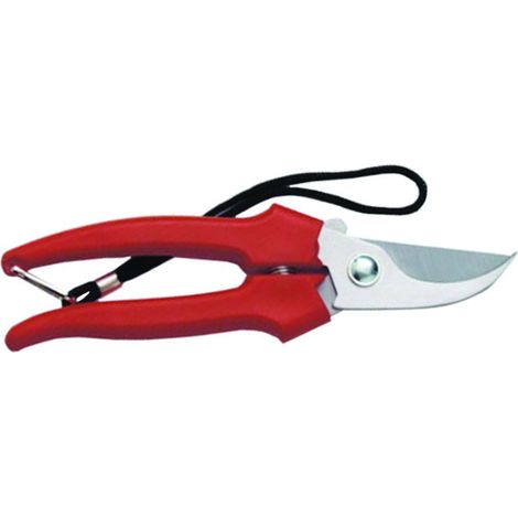 Forbice Raccolta e Giardino 35031 – Lame in Acciaio Inox 19 cm Ergonomica (12 Blister)