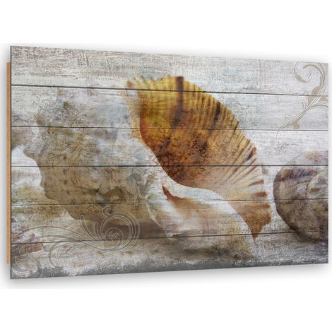 Quadro deco panel, Conchiglie in stile vintage - 90x60 (1/5)