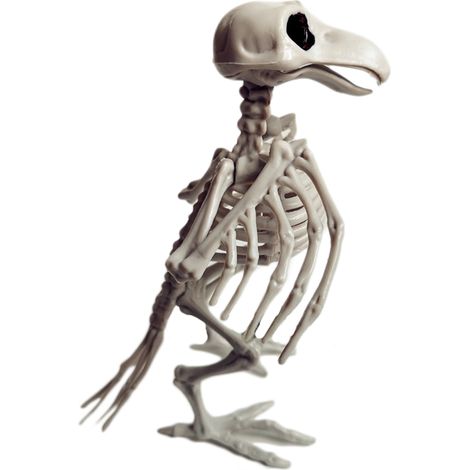 Squelettes d'animaux pour Halloween - Décoration effrayante de fête et accessoire d'os réaliste (1/5)