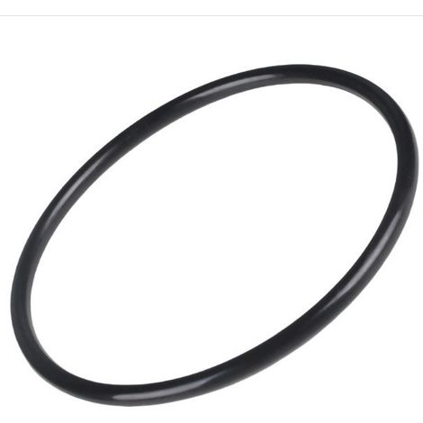 Filterkopf-O-Ring kompatibel mit CXFHR1001 / RGX45G für Hayward C100S (1/5)