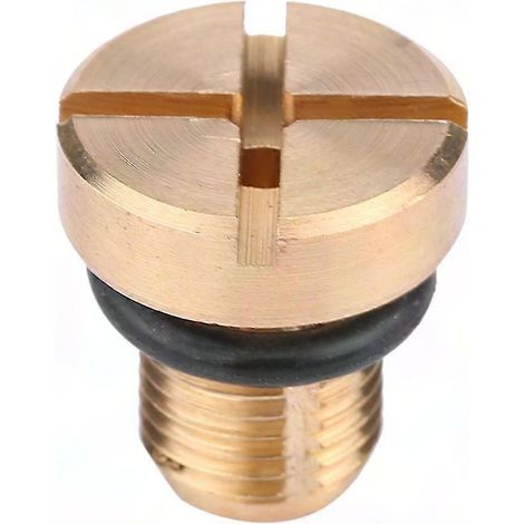 Bouchon de vidange Radiateur Vase d'expansion et Joint torique en caoutchouc pour 17111712788 (1/5)