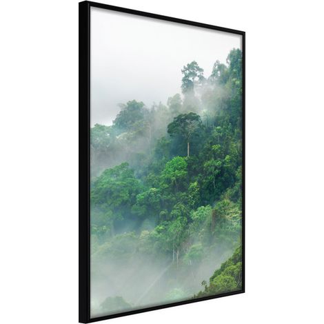 Affiche Murale Encadrée "Green Lungs of the Earth II" 40 x 60 cm Noir