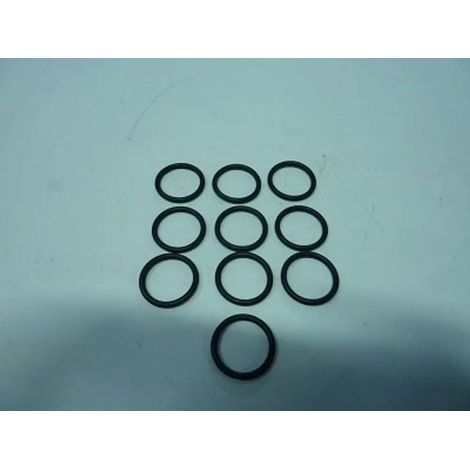 Remeha O-Ring 20.3x2.62 (10x), 200021826