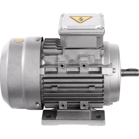 Motore elettrico trifase asincrono ad alta efficienza, 10 giri/minuto (1/5)