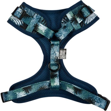 Harnais pour Chien Réglable "Eden" 54cm Bleu (1/5)