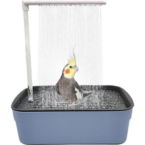 1 Baignoire Oiseau, Système Automatique, Robinet Multiple, Perroquet Petit Moyen, Cage