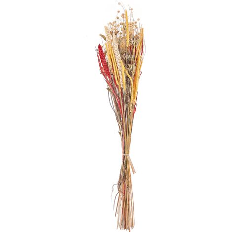 Ramo de flores secas rojo amarillo natural marrón 65 cm envuelto papel Pampeluna (1/5)
