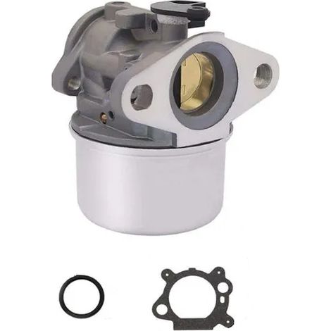 Carburateur moteur Briggs et Stratton - 799868 (1/3)