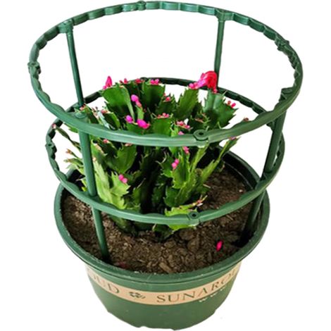 Tuteur de Jardin [Nom de Marque] Model PP Vert – Support Climatique pour Cucurbitacées et Floraisons Potagères, Dimension 25cm x 14.5cm (1 Pièce) (1/5)