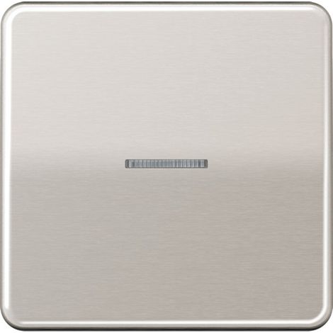 Jung Wippe 1fach, mit Lichtleiter, Aluminium eloxiert, Serie CD, platin CD 590 KO5 PT (1/2)