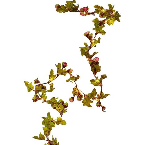 Lanterne en rotin à feuilles vertes - Fonction piles, 5 m, 50 LED [lumière chaude] - Rose + Rouge rose, fil de cuivre