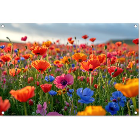 Balcony Privacy Banner Flowers - Poppies - Colorful - Nature 90x60 cm (1/5)
