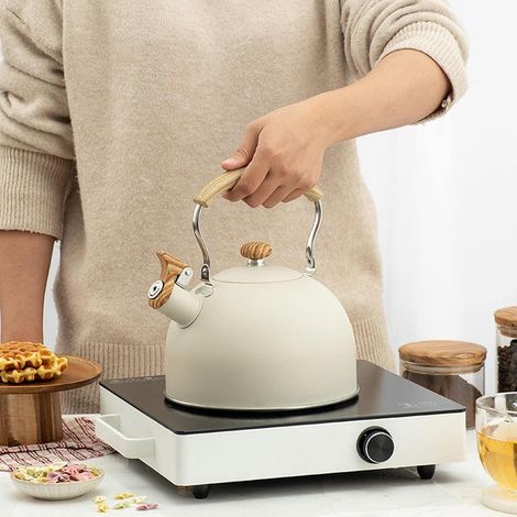 Bouilloire acier inoxydable 2.5 L usage quotidien usage cuisine (1/4)