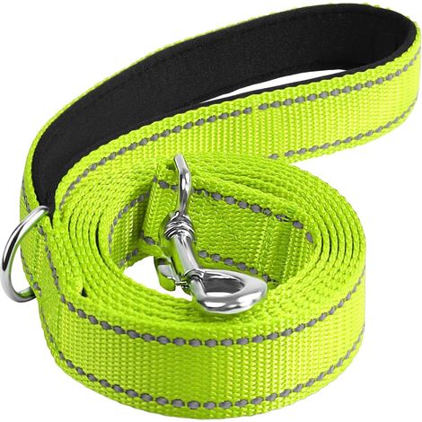 Laisse Pour Chien - Nylon Tressé - 1,8 M - Réfléchissant - Poignée Ergonomique - Anneau D - Pour Chiens Moyens Et Grands - 1 Pièce (1/5)
