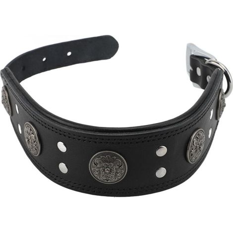 Jeffergarden Collier chien cuir de vachette - Noir taille L, réglable, décorations métalliques - Style rétro (1/2)