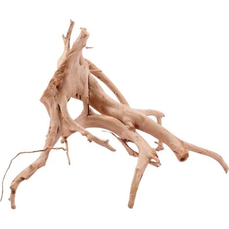 L Moorkienwurzel Nr.5334 Fingerwurzel Echtholz Deko Aquascaping