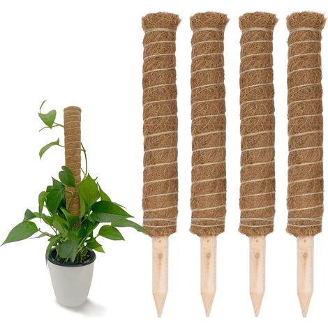 Kokos Rankstab 40 cm natur - 4 Stück - Pflanzstab für Zimmerpflanzen – Blumen Pflanz Stab Topf Rankhilfe Kletterhilfe Kokosstange für Kletterpflanzen