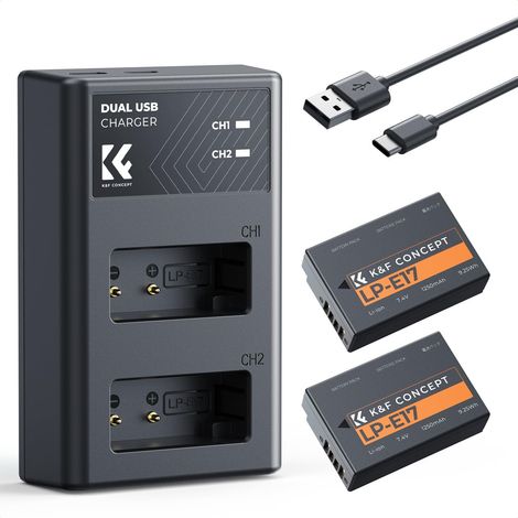 LP-E17 Batterie et Chargeur 2 x 1250mAh USB Double Compatible avec R50 R100 RP R10 R8, Powershot V1, T8i T7i T6i T6s SL2 SL3 M3 M5 M6 200D 750D 760D 800D 8000D (1/5)