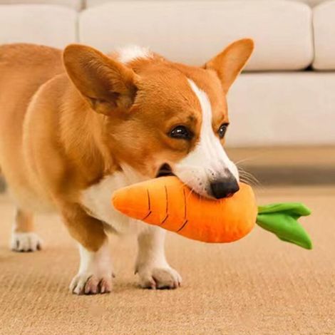 Pet Supplies Jouet froissé pour chien de petite, moyenne, carotte mignonne orange avec couineur doux, jouet en peluche en forme de carotte avec son, résistant aux morsures(long19cm) (1/5)