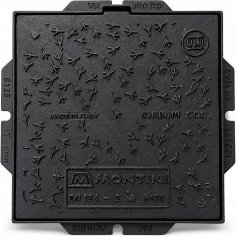Chiusino In Ghisa Classe B125 Signum 50 x 50 Montini (1/3)